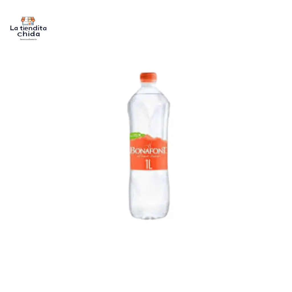 [758104100422] Agua bonafont 1lt
