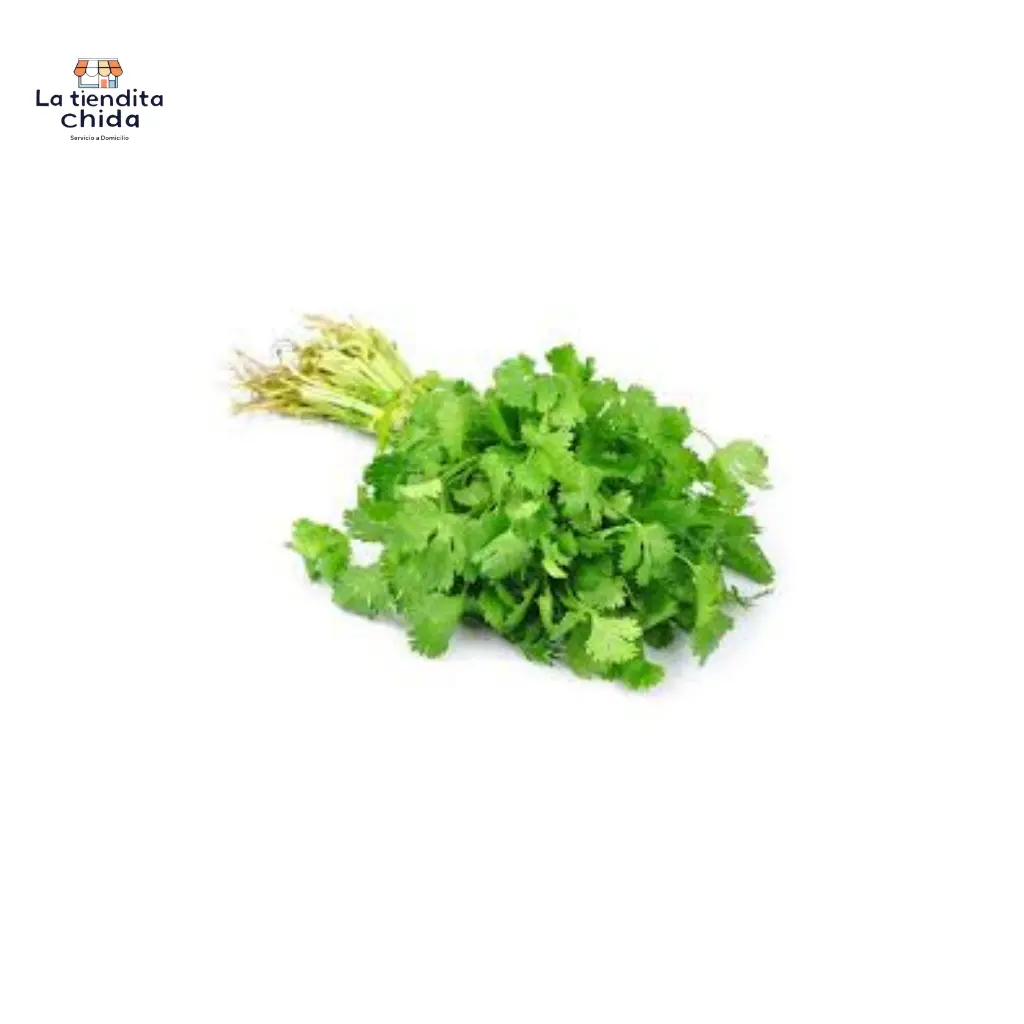 Cilantro (50g)