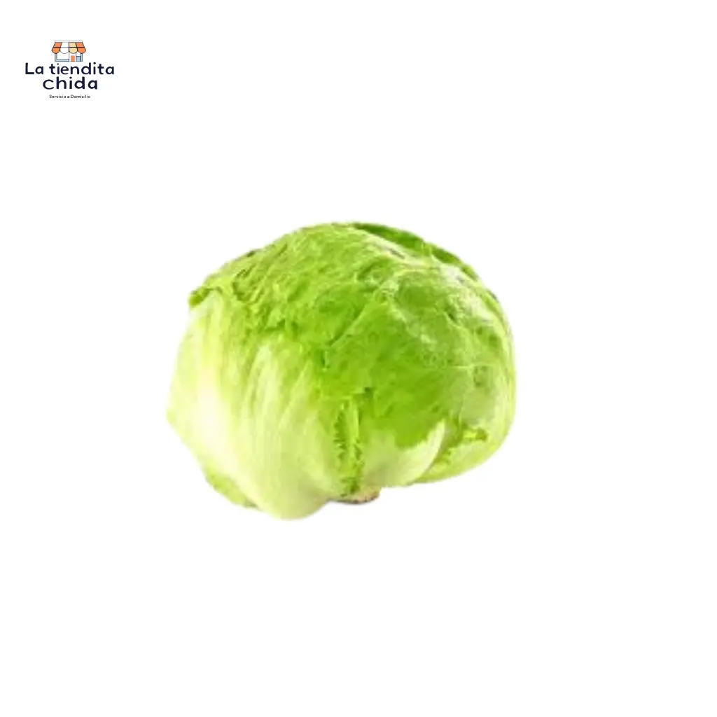 [Romana1] Lechuga Romana (Pz)